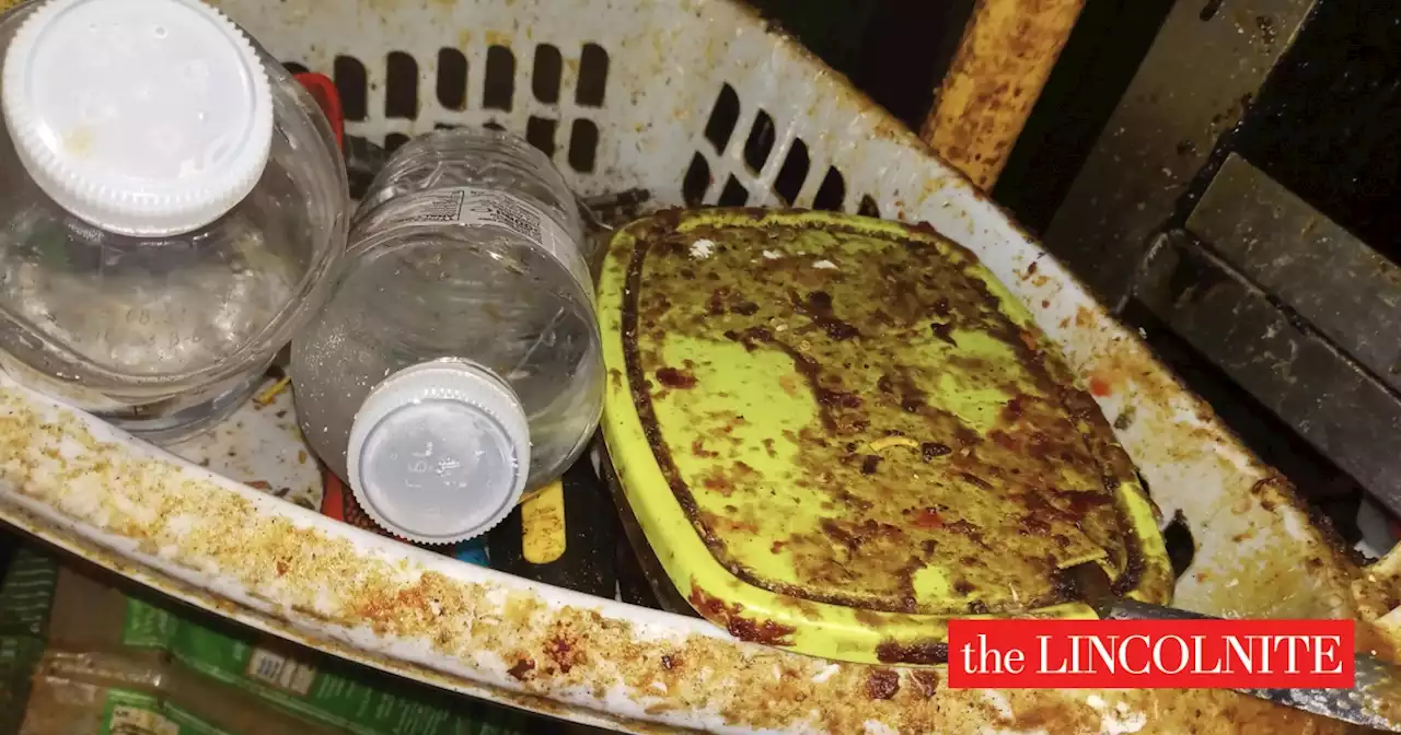 Photos show rat droppings, dirt and mould at Lincolnshire takeaway