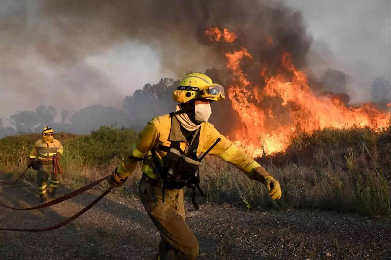 Europe burns as heatwave breaks temperature records