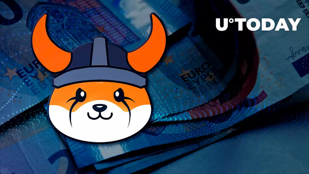 Dogecoin Offshoot Floki Inu Gets Its First Euro Listing