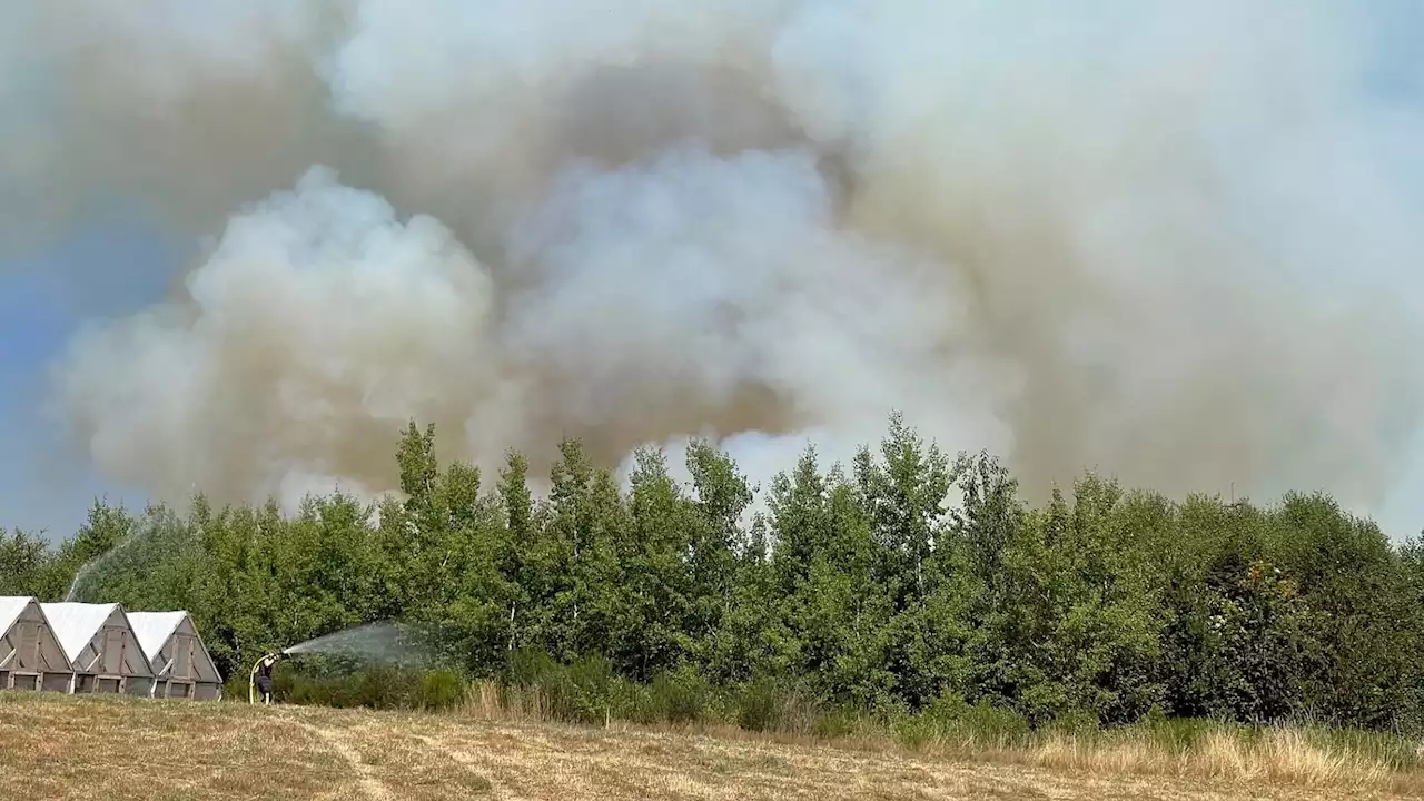 Großer Waldbrand bei Sundern