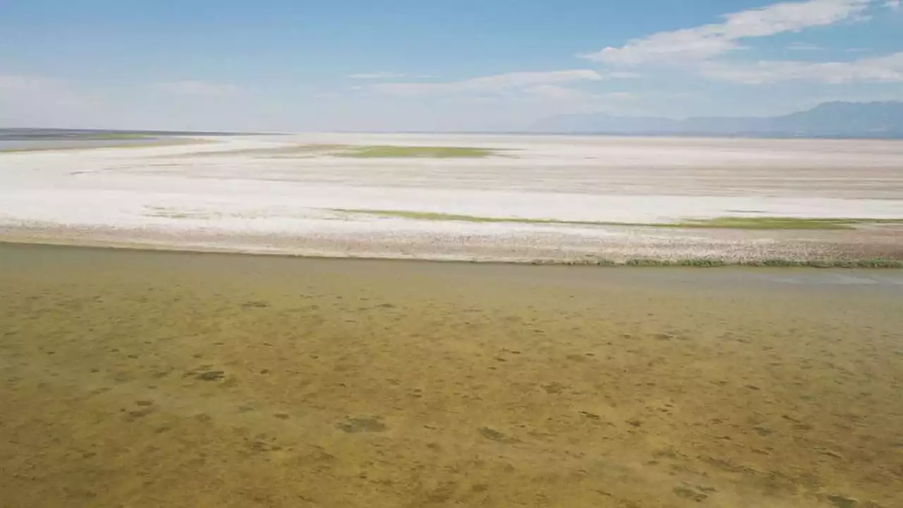 Great Salt Lake dry-up causing dangerous climate ripple effect, ecologists say