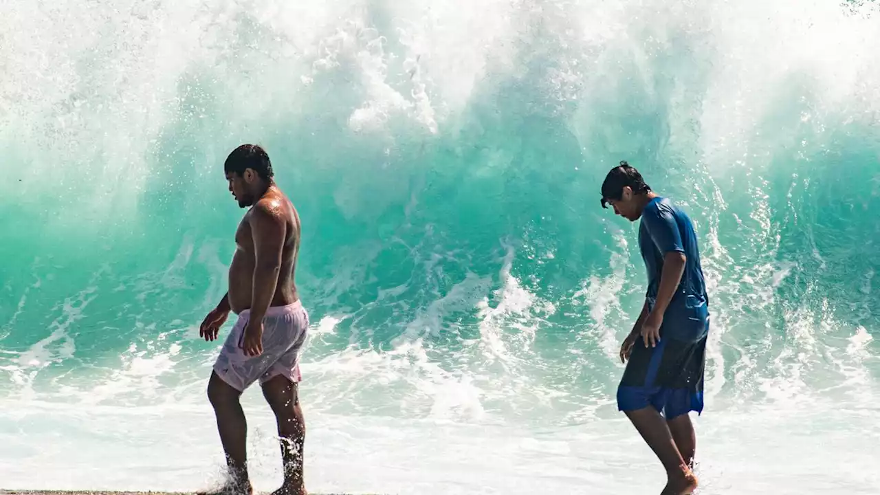 Hawaii waves swamp homes, weddings during 'historic' swell