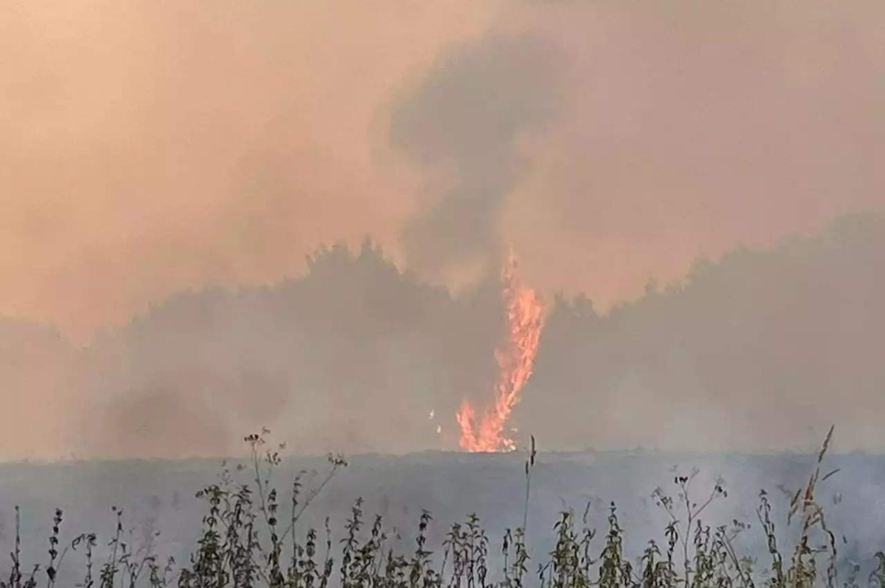 Emergency services in South Yorkshire and Humberside declare major incident as wildfires rage