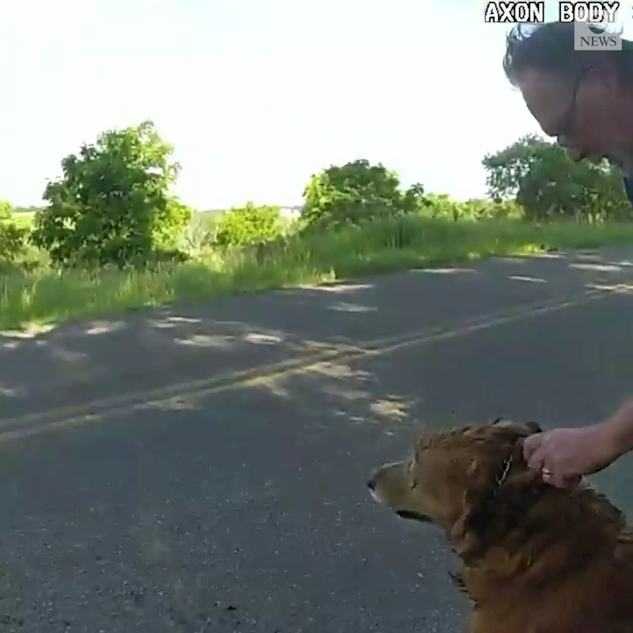 Trooper crawls into drainage pipe to rescue missing dog