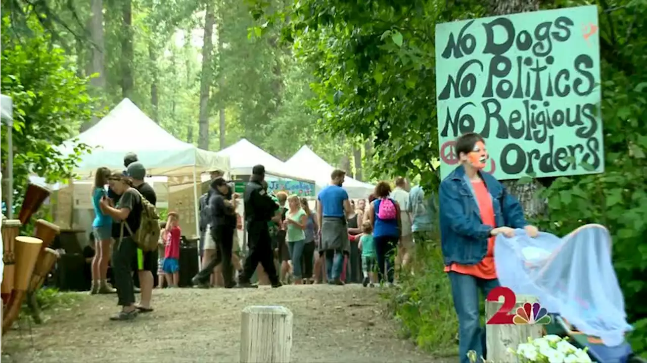 Forest Fair in Girdwood returns after two year pause