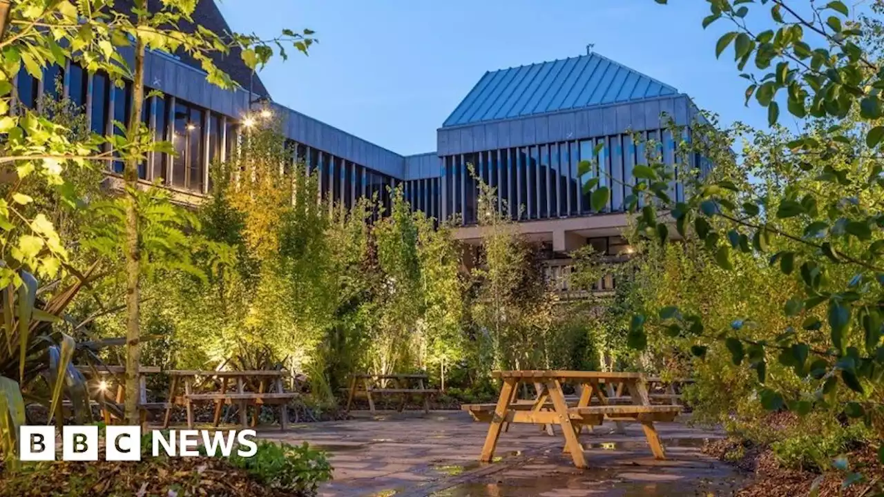 Derby 'urban forest' opens in city centre