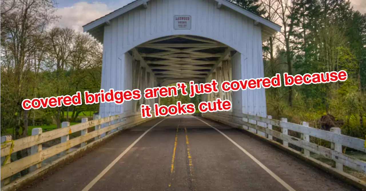 24 Facts That Cross Too Much Into Common Sense That I Feel Like I've Been Missing Something