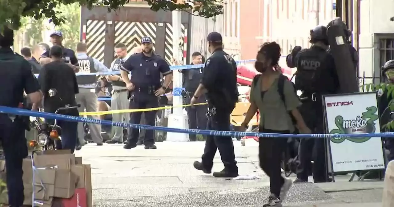 Teenager killed in Harlem shooting