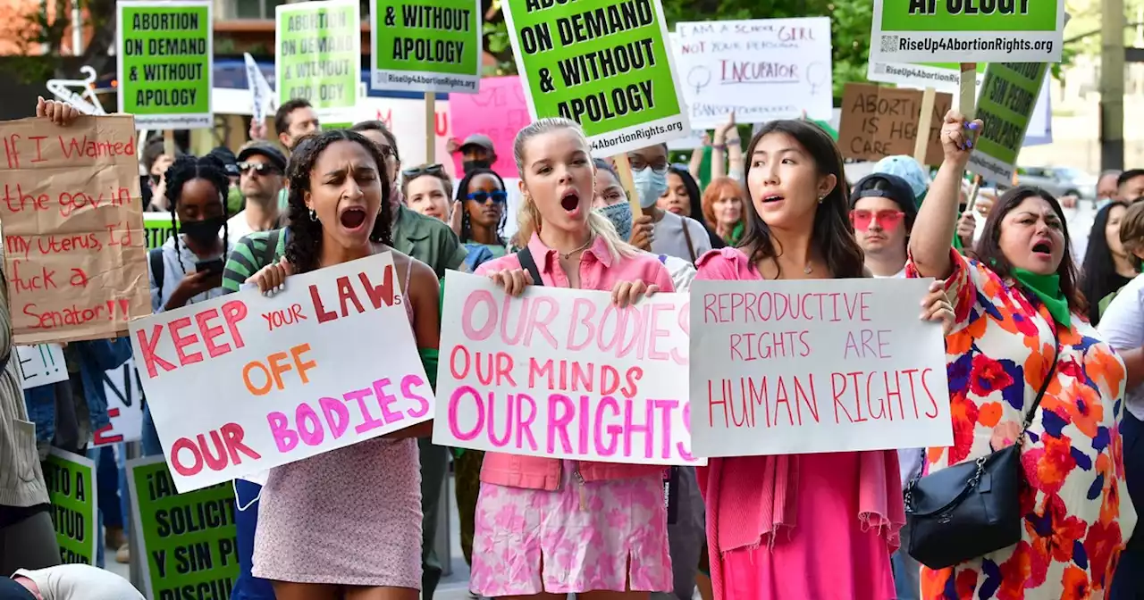 Opinion | With Death of Roe, Progressives Have Just Four Months to Avert Unthinkable Disaster