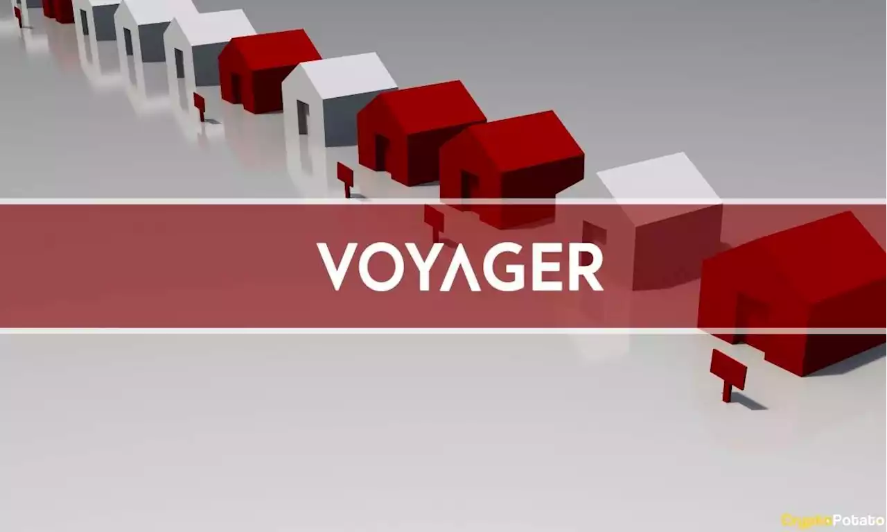 3AC Files for Bankruptcy as Voyager Digital Suspends Withdrawals