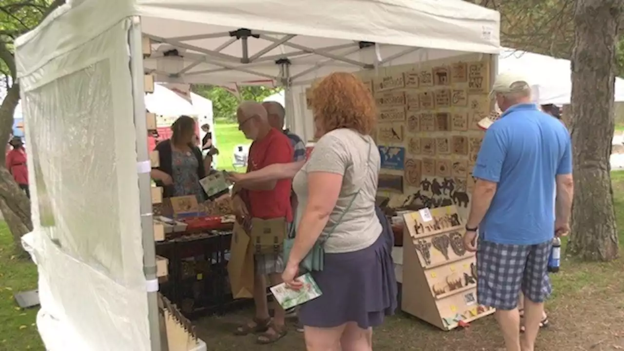 Artfest artfully makes its return to Kingston, Ont. for the Canada Day long weekend