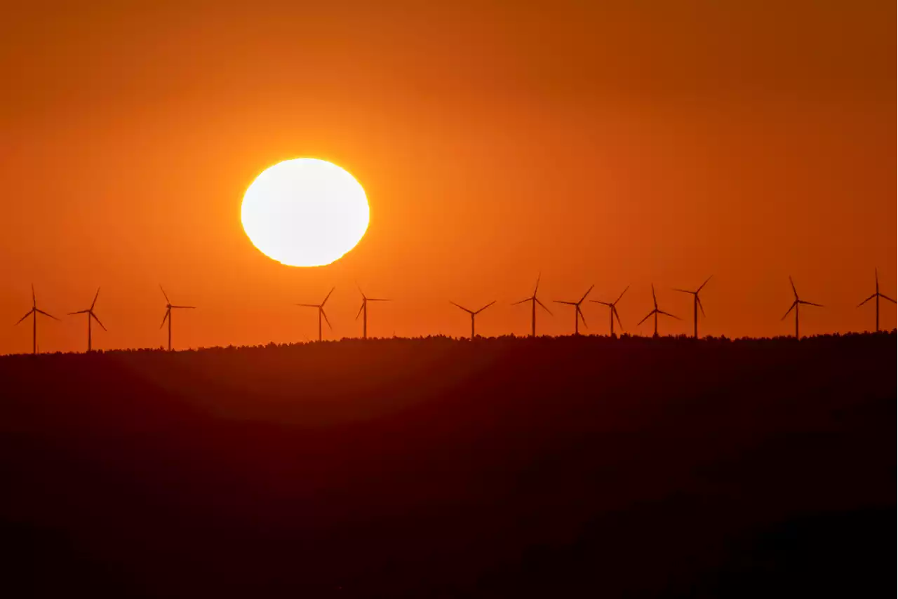 Energiepreise - Hamburg will Windräder auch in Naturschutzgebieten errichten