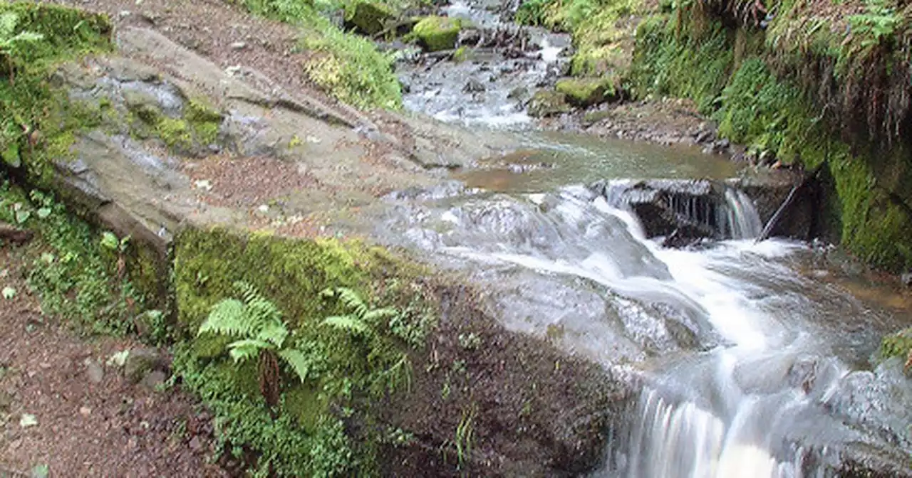 Woodland with 'magical crashing waterfalls' near Liverpool