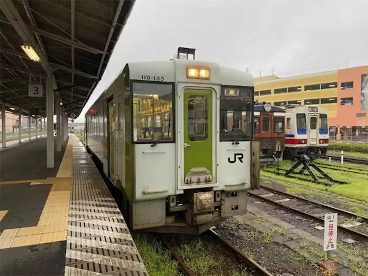 深刻「列車にシカ衝突」が急増 毎日1件以上の路線も “クルナレーザー”設置むなしく - トピックス｜Infoseekニュース