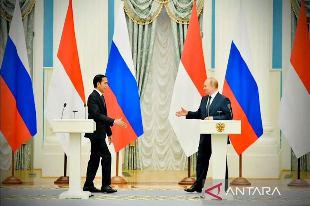 Begini Analisis Aliabbas soal Kesan Putin tentang Pertemuan dengan Jokowi