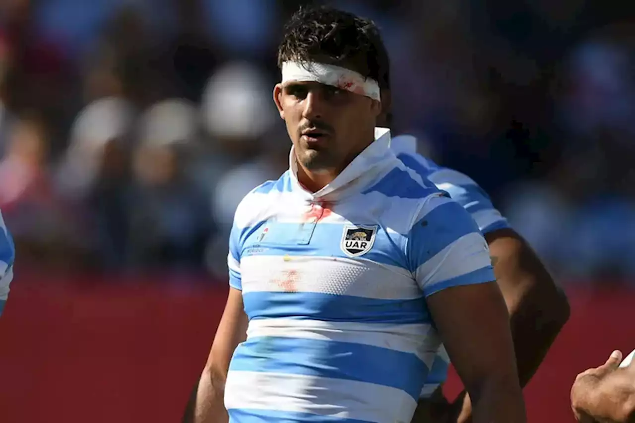 Los Pumas - Escocia, en vivo