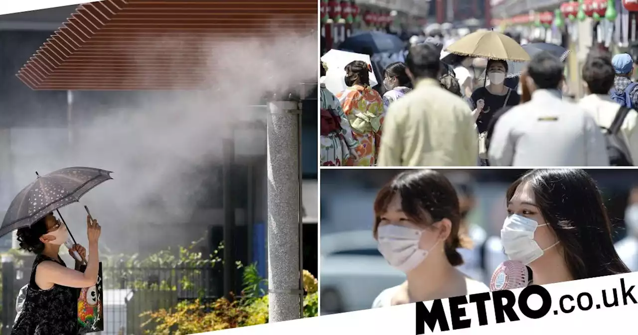 Japan swelters in highest temperatures for 147 years with 35°C for 7 days