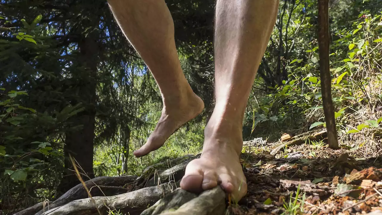 Deshalb ist Barfußwandern so gesund