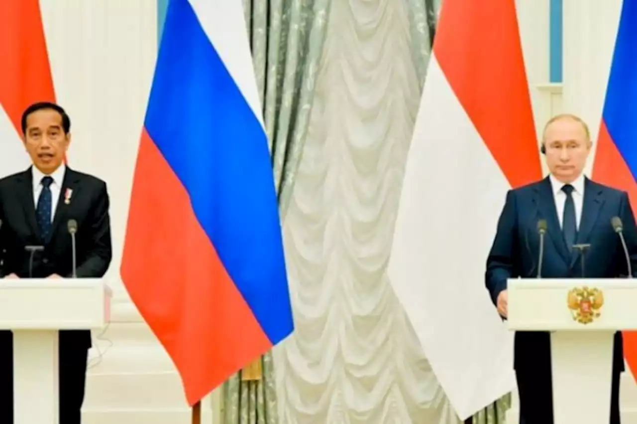 Jauh-Jauh ke Rusia, Seruan Damai Jokowi Tak Diindahkan Vladimir Putin - Pikiran-Rakyat.com