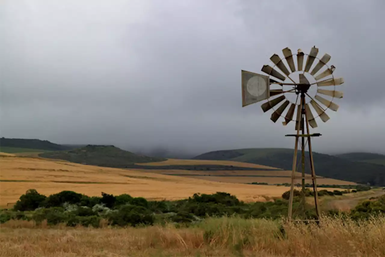 Rural Safety Summit: TLU SA - 'Cele's comments are dangerous' - South Africa Today