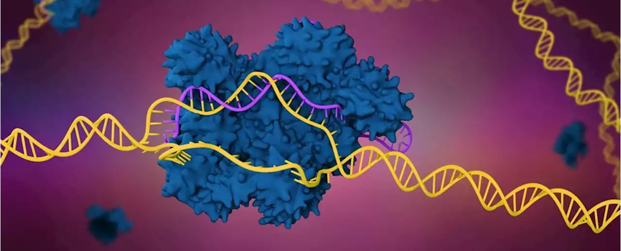 These Newly Discovered Viruses May Have Shaped The Rise of Complex Life on Earth