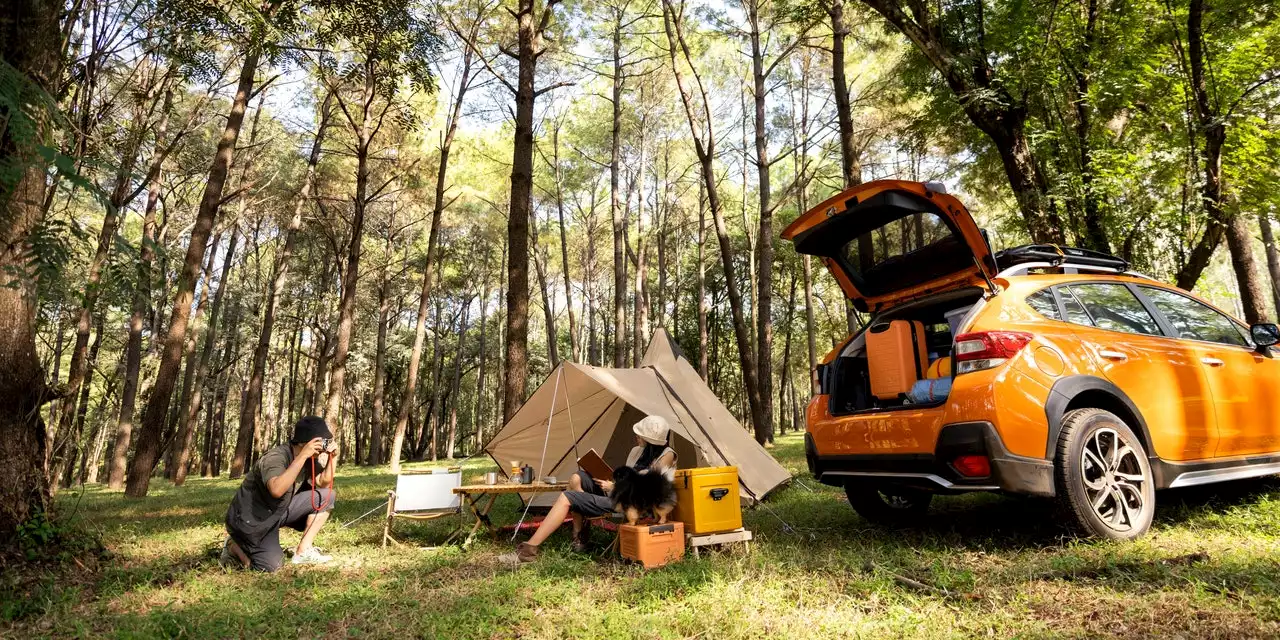 Everything You Need for Your Next Car Camping Trip