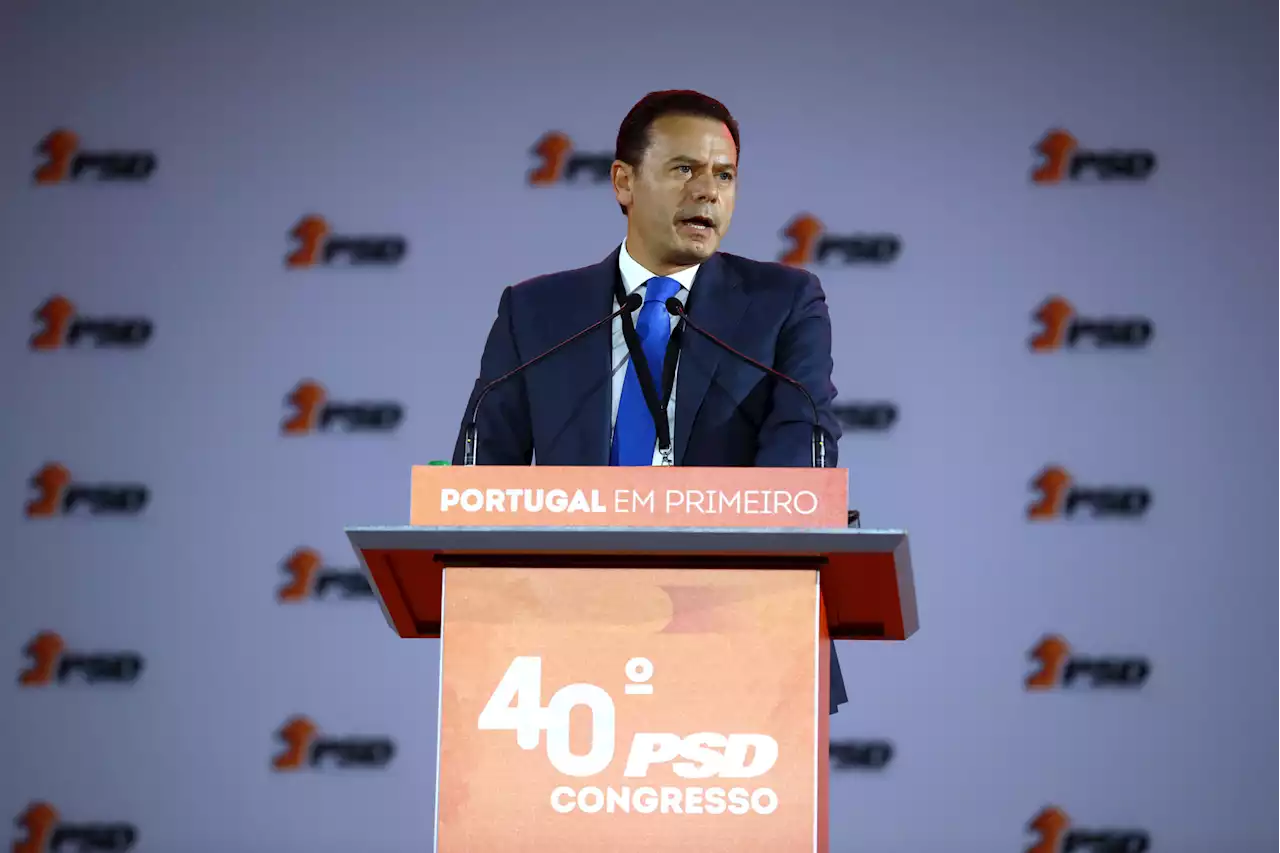 Montenegro quer 'romper com tentativa de confusão com o PS' - SIC Notícias