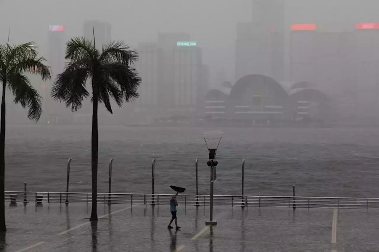 China lashed by year's first typhoon, record rains forecast