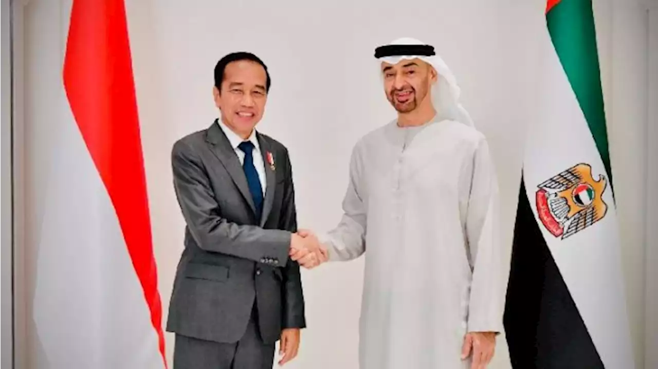 Jokowi dan Pangeran MBZ Saksikan Pertukaran 6 Dokumen Kerja Sama Indonesia - UEA