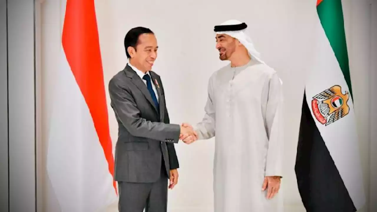 Jokowi Temui Presiden PEA Sheikh Mohamed bin Zayed Al Nahyan di Abu Dhabi