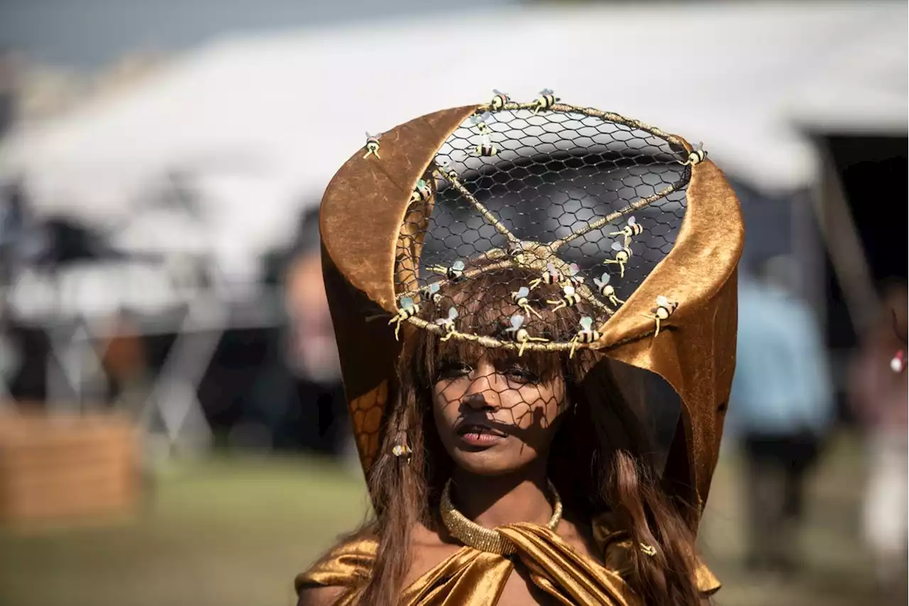 Pics: Race fans show off their threads, as Durban July proves city's recovered from Covid | The Citizen