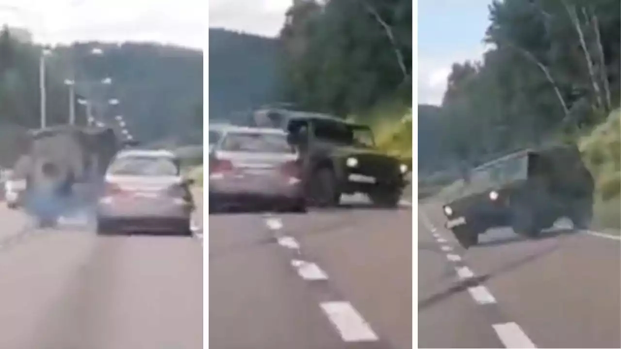 SIAN-leder havnet på taket på E6