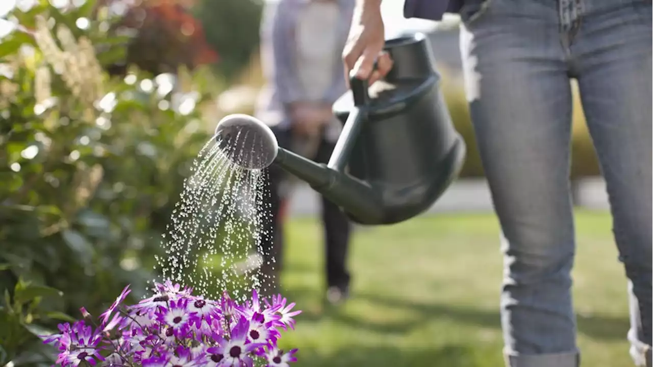 Fünf wirklich gute Tipps zum Wassersparen im Alltag