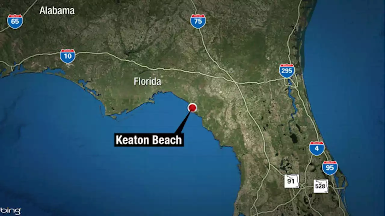 Officials: Girl seriously injured in shark attack in Florida