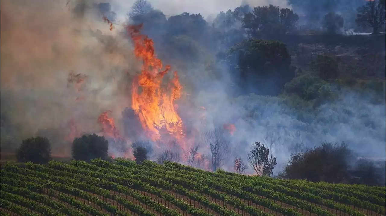 Großbrand in Hessen strapaziert Feuerwehr - Verletzte Einsatzkräfte