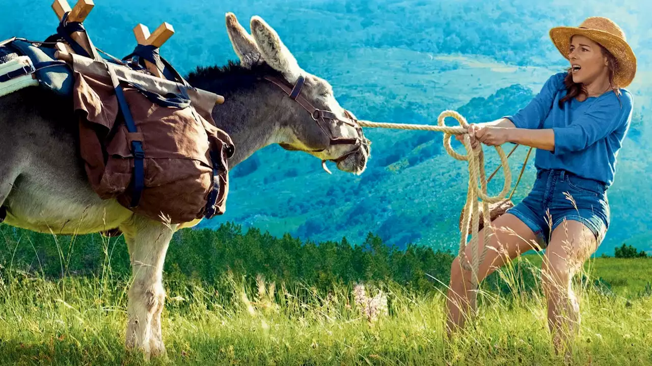 'My Donkey' is a fun twist on the 'Eat, Pray, Love' genre. Here's why it's worth a watch