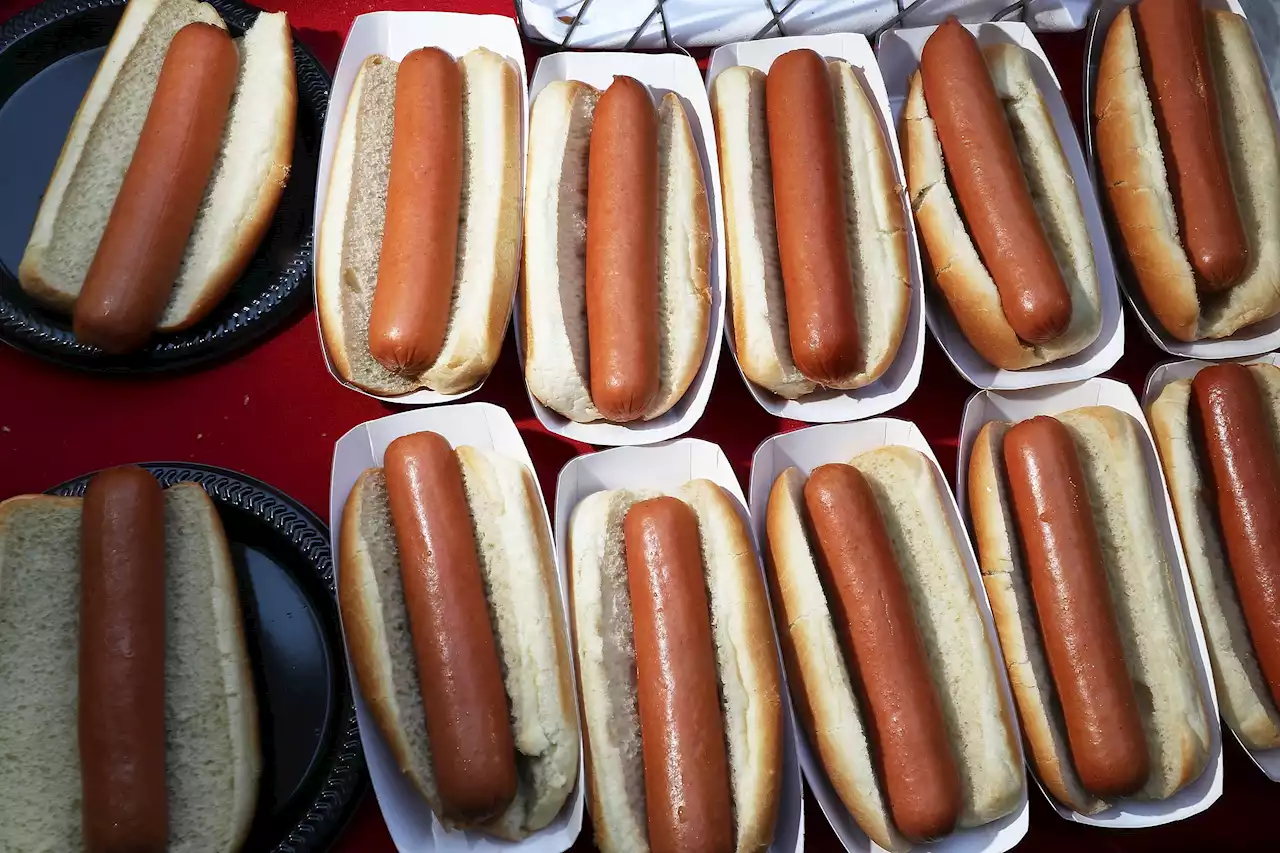 National Hot Dog Day 2022: Where to get free and cheap hot dogs