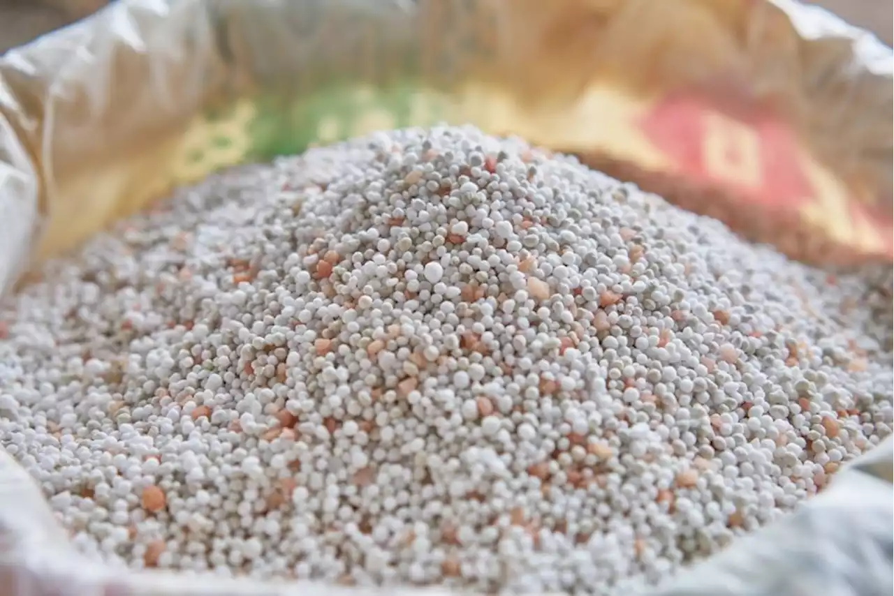 PBBM eyeing fertilizer purchase deals with foreign governments | Samuel P. Medenilla