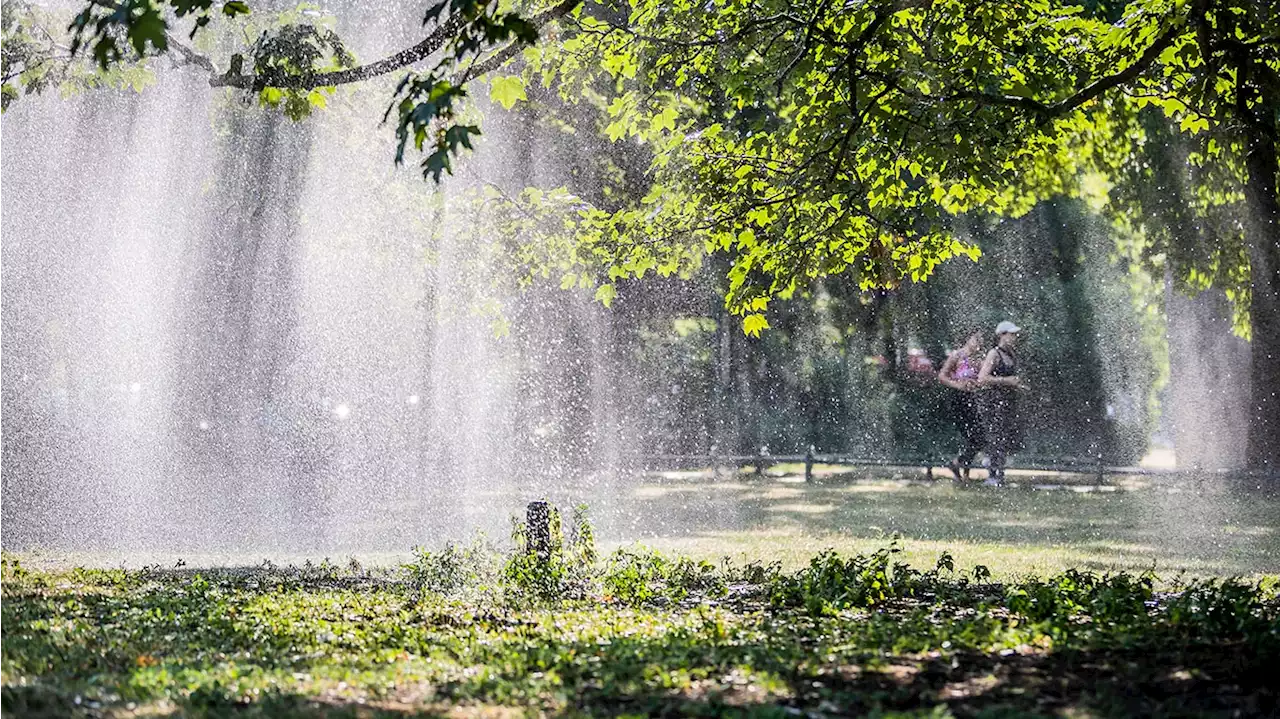 Diese Berliner Park sind am beliebtesten