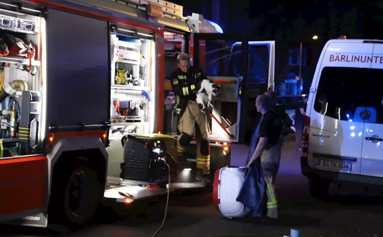 Gasaustritt! Feuerwehr evakuiert Wohnhaus – zwei Verletzte