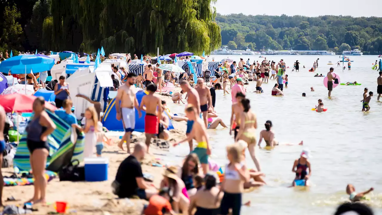 HITZE und SONNE! Berlin glüht am Temperatur-Rekord