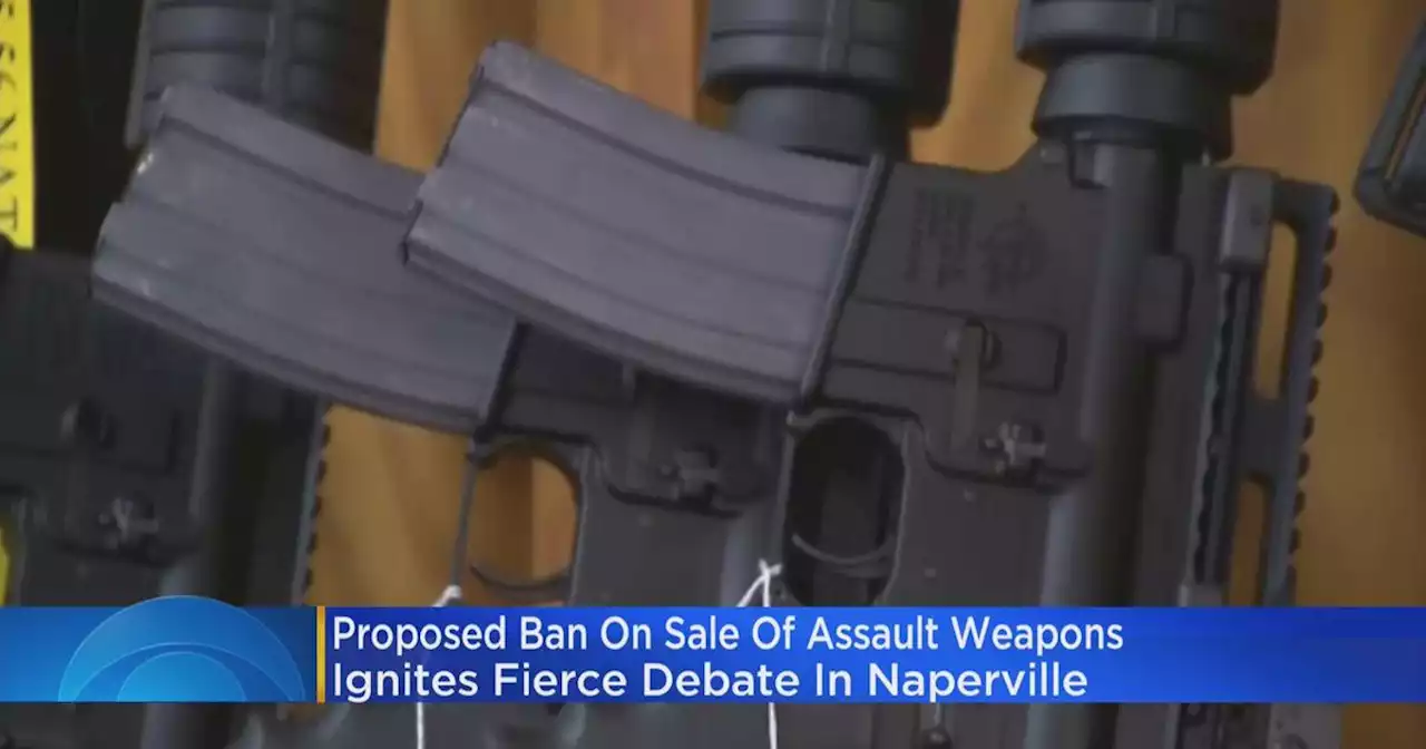 Naperville city council listens to residents regarding proposed assault weapons ban