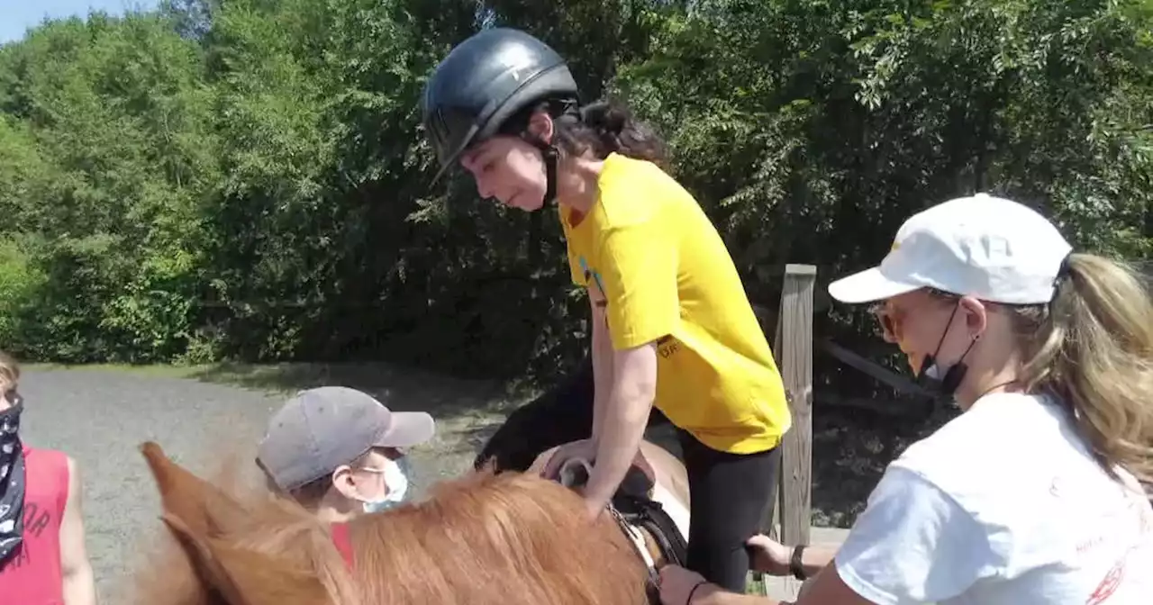 Nonprofit GallopNYC uses horses to provide therapy to people with disabilities