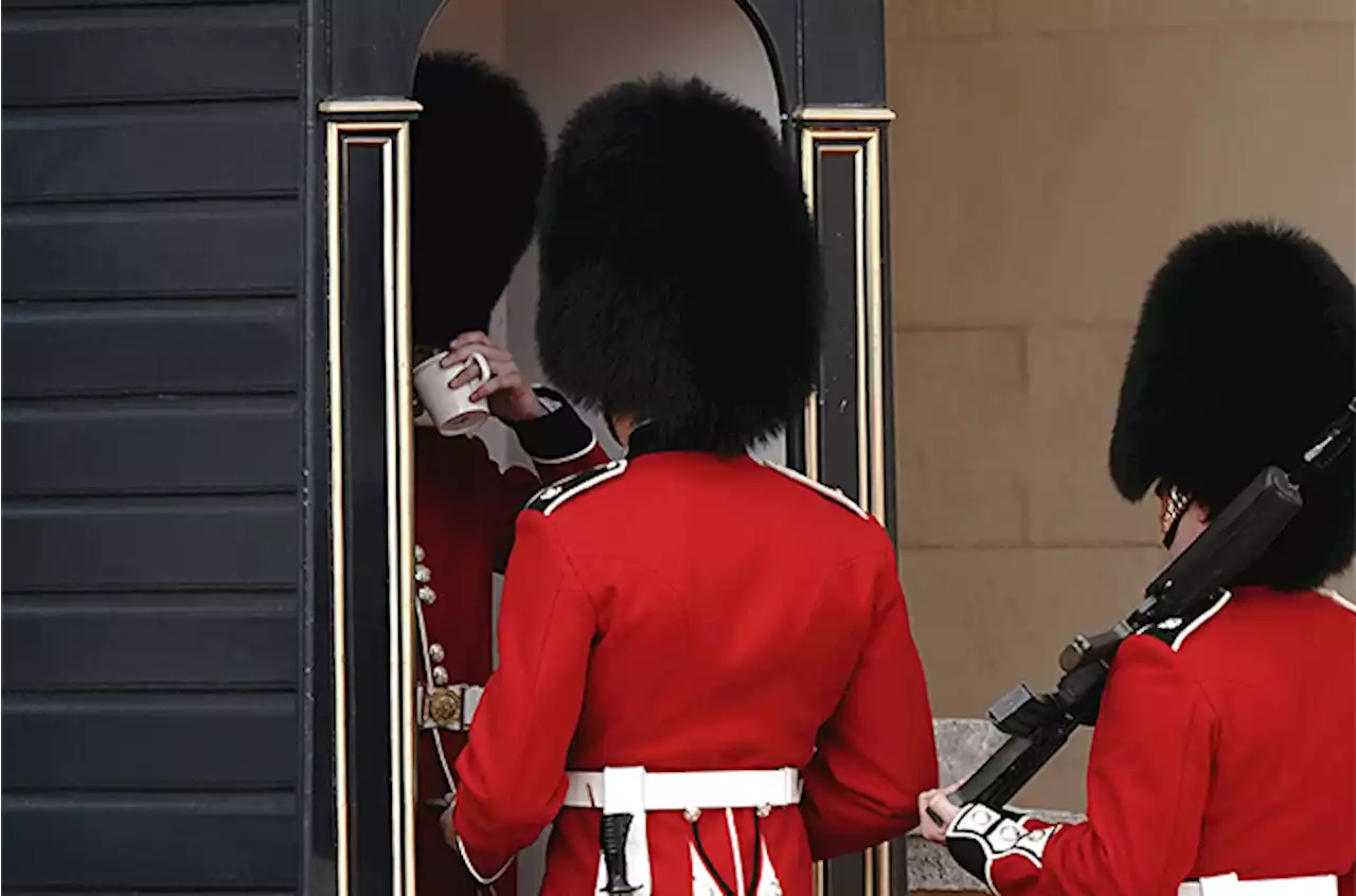 PHOTOS | Heatwave sees Buckingham Palace guards break stance for a sip of water | Channel