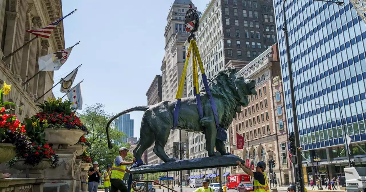 The lions are back outside the Art Institute, freshly cleaned and ready for duty