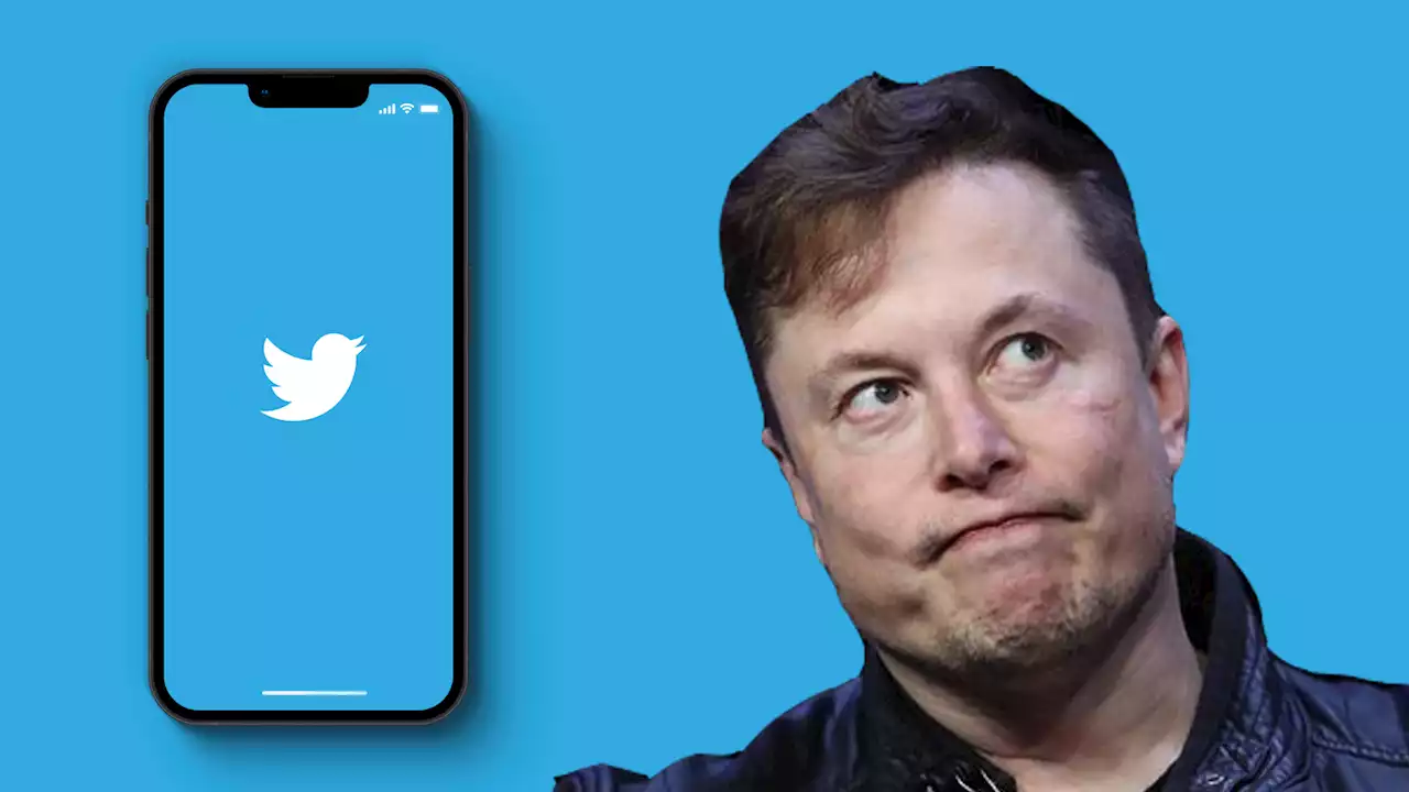 Trial Date for Twitter v Elon Musk Revealed | CoinMarketCap