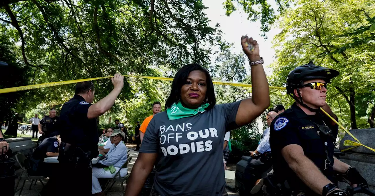 'Good Trouble': 17 House Democrats Arrested Protesting Roe Reversal at Supreme Court