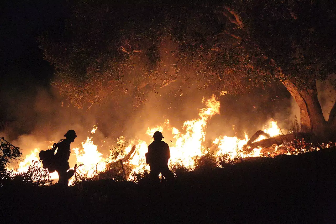 As Wildfires Spread Nationwide, Several North Texas Counties Battle Blazes