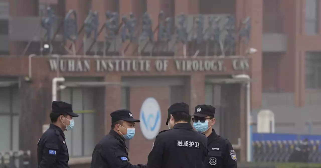 Secret docs reveal FBI investigated decision to give cash to Wuhan lab linked to COVID-19