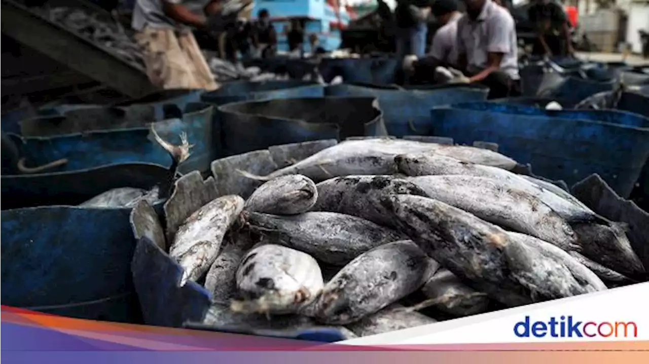 KKP Pamer Capaian Kerja Ruang Laut Berdasarkan Ekonomi Biru